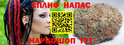 jwh Будённовск