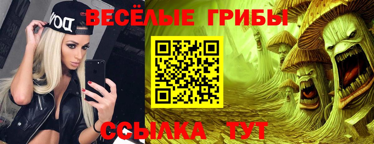 Альфа ПВП Рузаевка