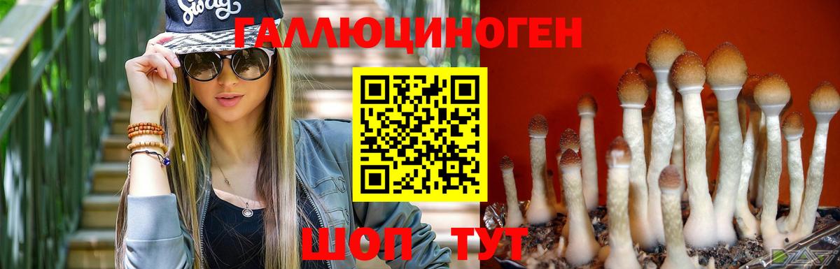 Псилоцибиновые грибы GOLDEN TEACHER  Вход с VPN  Рузаевка 